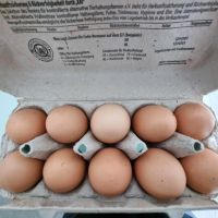 Eier von Freilandhühner Nordrhein-Westfalen - Oelde Vorschau