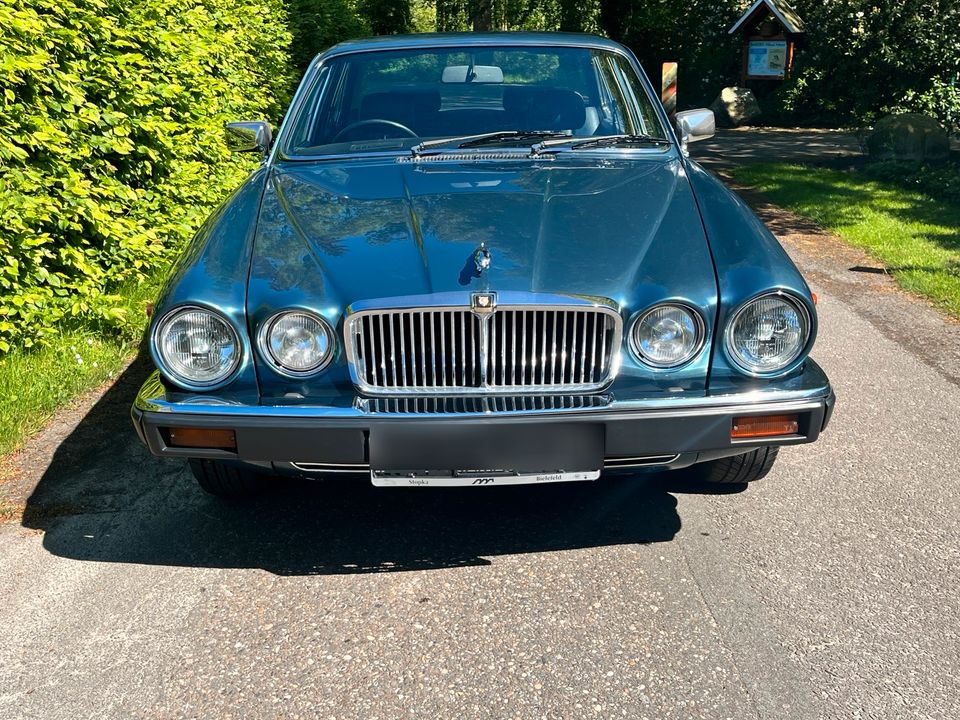 Jaguar XJ 6, 3,4l Vergaser RHD, TÜV und H-Zulassung NEU in Wiefelstede