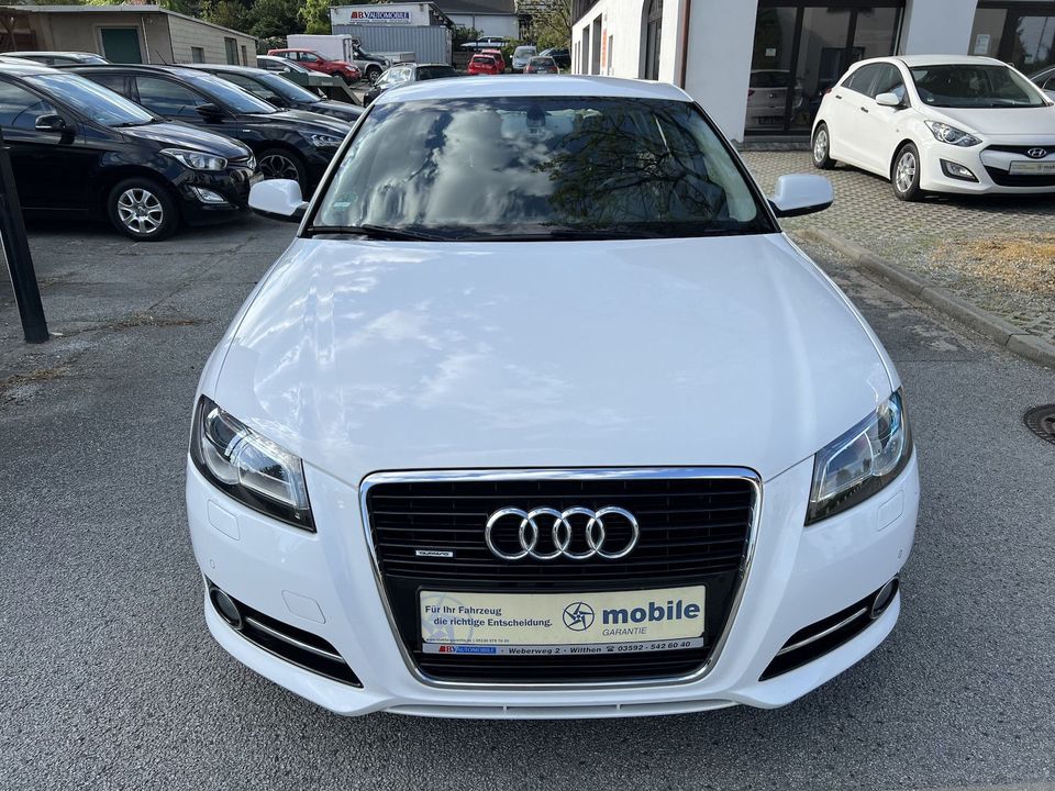 Audi A3 Sportback 2.0 TDI quattro Xenon Garantie in Wilthen