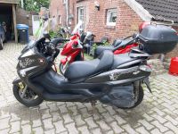 Yamaha majesti 400 Niedersachsen - Hagermarsch Vorschau