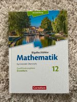 Mathematik 12 von Bigalke & Köhler Brandenburg - Zeuthen Vorschau