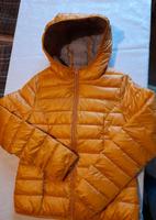 Blind Date Jacke leichte Steppjacke gelb 36 wNeu Dresden - Klotzsche Vorschau