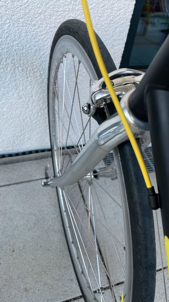 Road Bike (Steel) Vintage in München