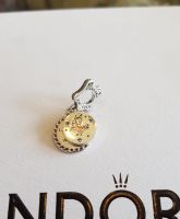 Pandora Harry Potter Ravenclaw Anhänger Charm München - Altstadt-Lehel Vorschau