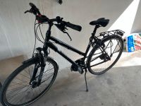 Gudereit Danenfahrrad, LC 30 Edition, 28 Zoll Nordrhein-Westfalen - Iserlohn Vorschau