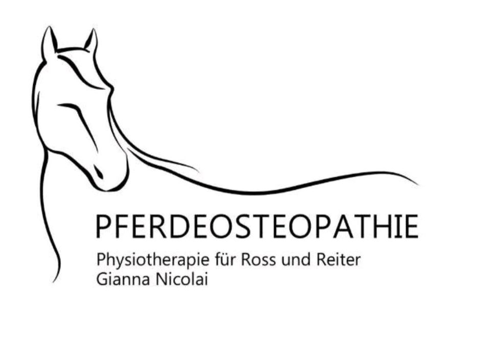 Pferdeosteopathie Pferdephysiotherapie - Osteopathie für Pferde in Peiting