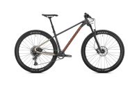 Mondraker Chrono DC Gr S, M & L Modell 2023 Mountainbike Bayern - Immenstadt Vorschau