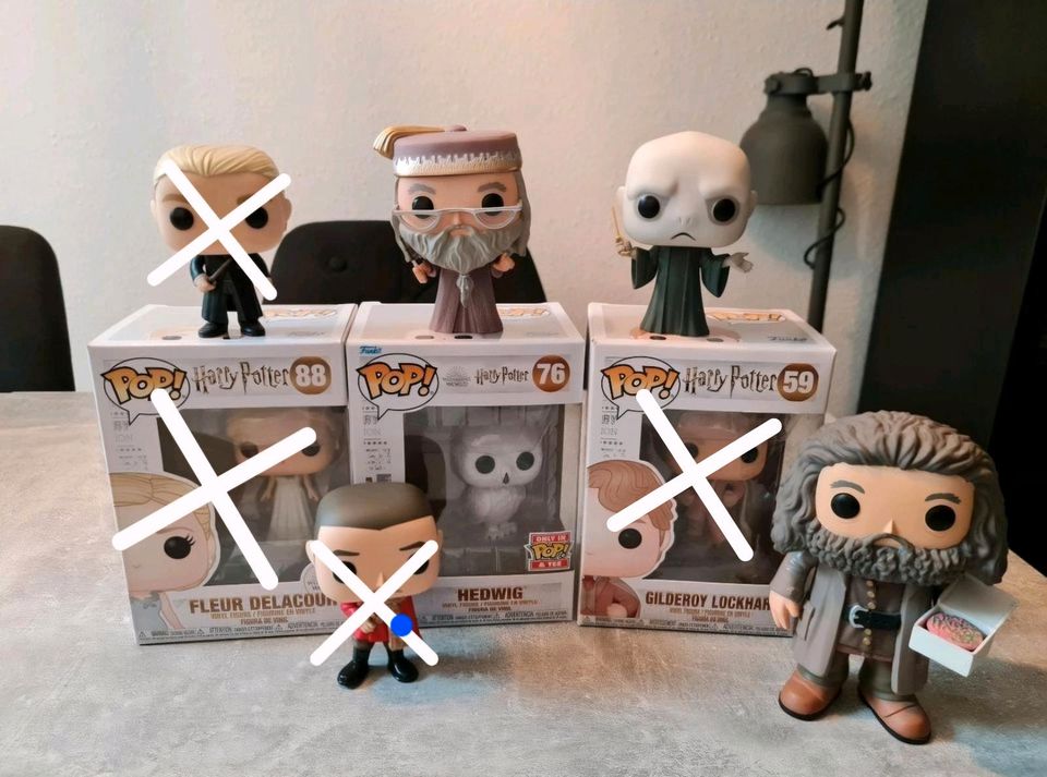 Funko Pop Harry Potter Voldemort Hagrid Hedwig Albus in Gelsenkirchen