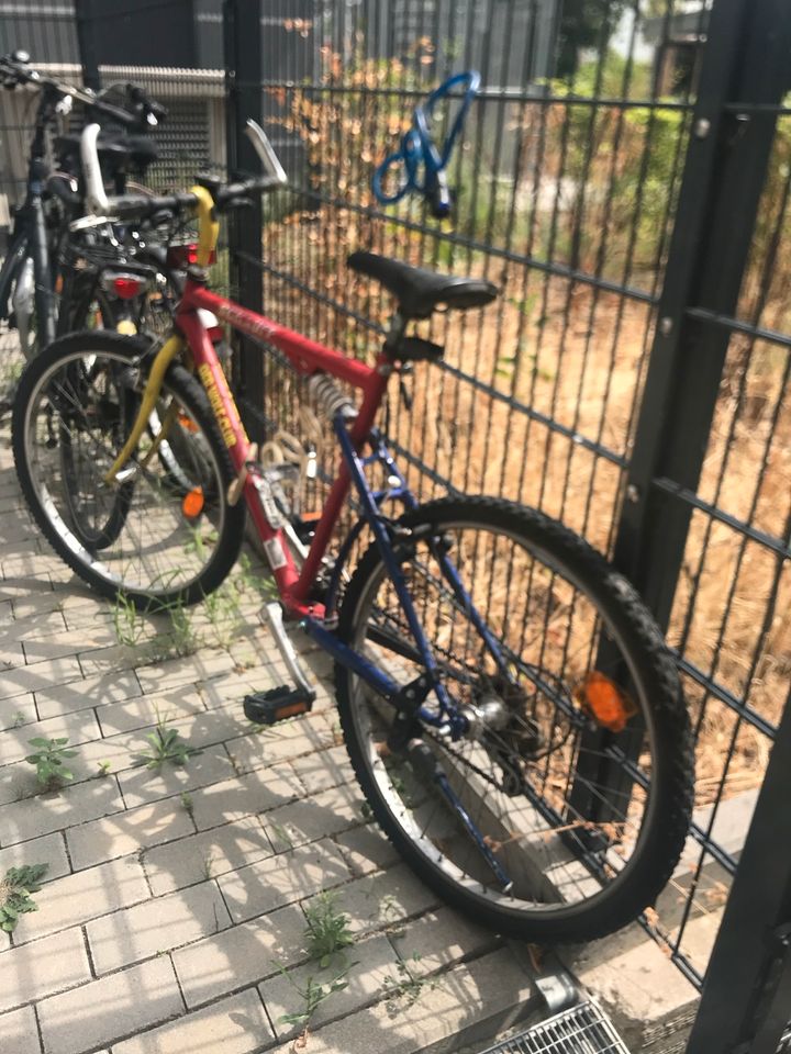 Fahrrad 26 Zoll in Mainz