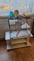 Nagarium Terrarium Mäuse Hamster mit Rollschrank und Zubehör Thüringen - Schmalkalden Vorschau