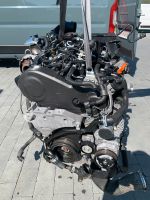 Motor VW Passat Tiguan CC 2.0 TDI CFF CFFC CFFD 140PS komplett Sachsen - Torgau Vorschau