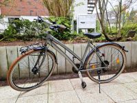 Tecnobike 50 Fahrrad Trekkingrad Trapez Grau Horn-Lehe - Lehesterdeich Vorschau
