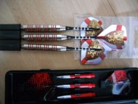 RED Lion Steeldarts solides Starterset 24 g mit Ersatzflights Neu Niedersachsen - Wolfenbüttel Vorschau