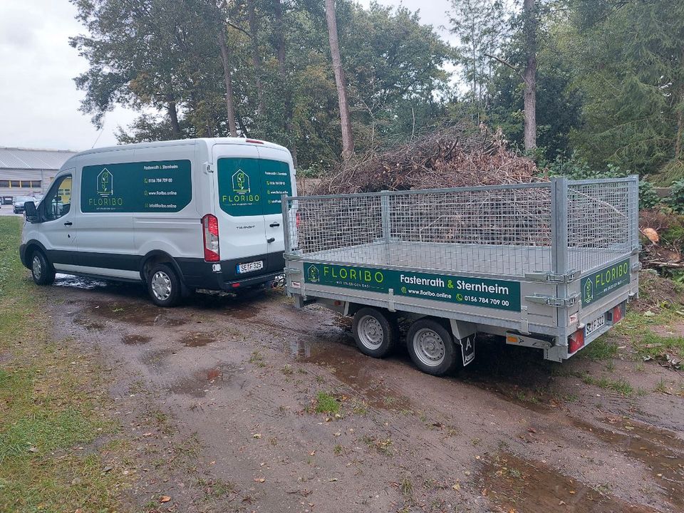 Gartenarbeit Gartenpflege Heckenpflege Beetpflege Weg reinigen in Neumünster