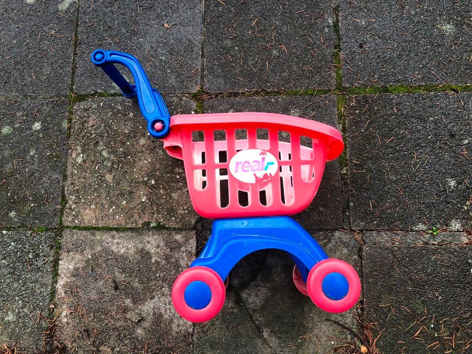Einkaufswagen real Kinder Babys Plastik in Saarland - Blieskastel, Weitere  Spielzeug günstig kaufen, gebraucht oder neu