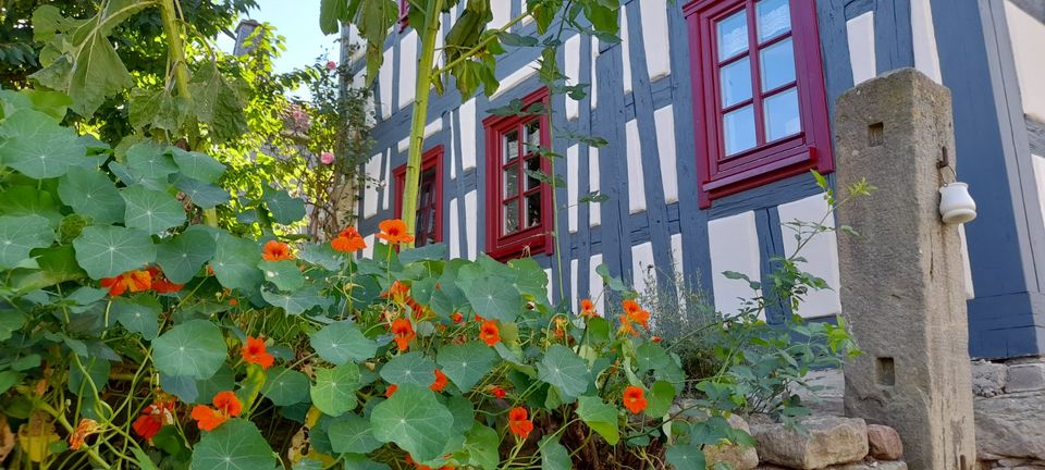 Ferienwohnung im Saaletal  Rudolstadt Thüringen in Uhlstädt-Kirchhasel