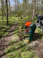 Motorsägenkurs, Kettensägenschein, Brennholzkurs Mecklenburg-Vorpommern - Blankenhof Vorschau