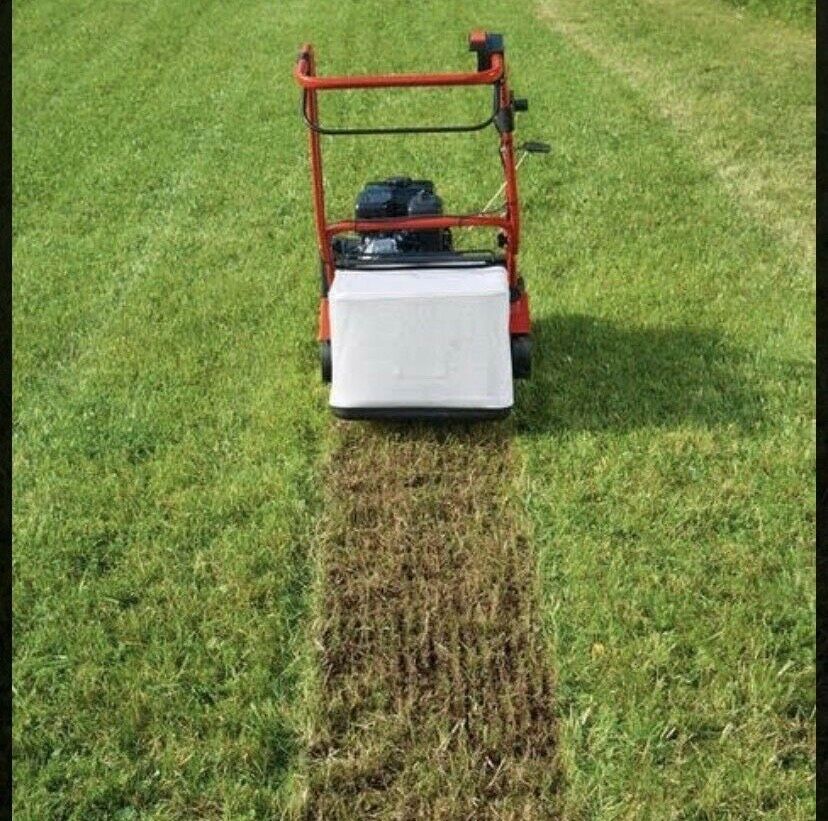 Rasen neu anlegen / Rollrasen verlegen / vertikutieren in Wathlingen