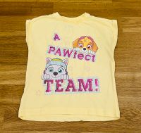 Mädchen Sommer T-Shirt‘s „Paw Patrol - Skye & Everest“ München - Bogenhausen Vorschau