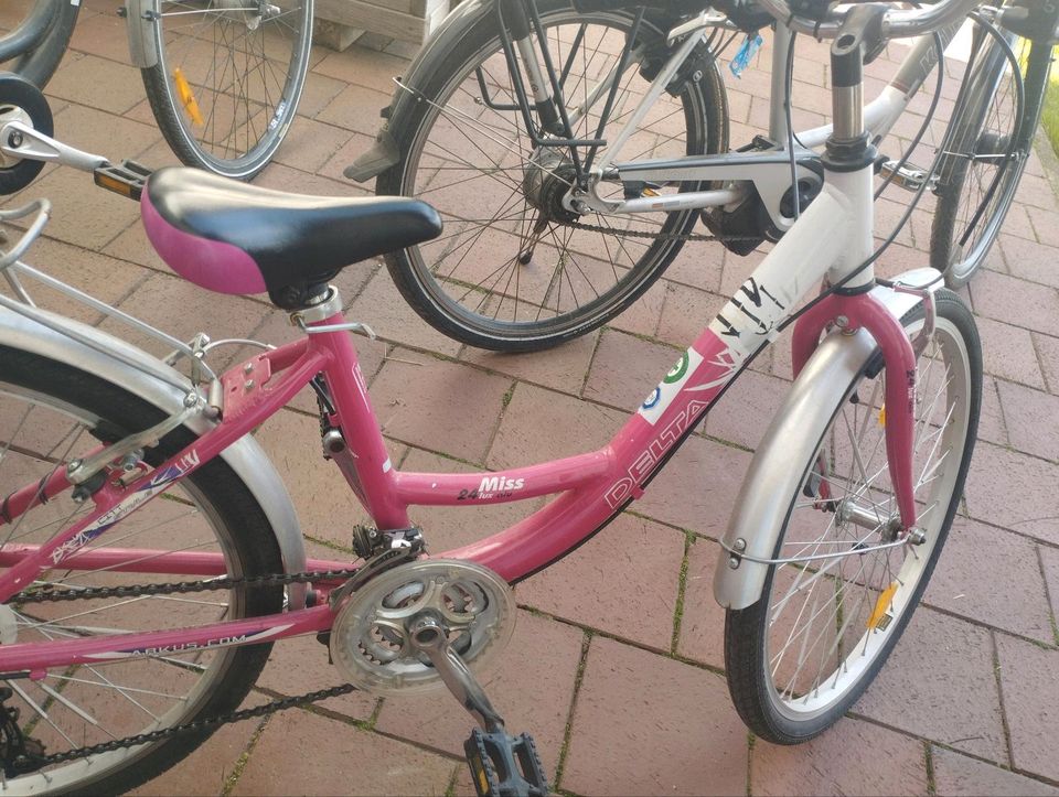 Fahrrad Rad 24 Zoll in Palling