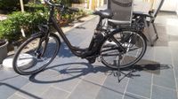 Raleigh 26" WA Dover Imp. 7HS 14, 5AH 50cm Rheinland-Pfalz - Neupotz Vorschau