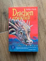 Buch „Drachen erwachen“ Valija Zinck Bayern - Bad Aibling Vorschau