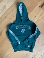 Harry Potter Hogwarts Kapuzenpulli H&M grün 134/140 Bayern - Rosenheim Vorschau