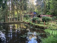 2024....Lust auf Urlaub im Wald? 3000 qm mit Fischweiher Baden-Württemberg - Ettlingen Vorschau