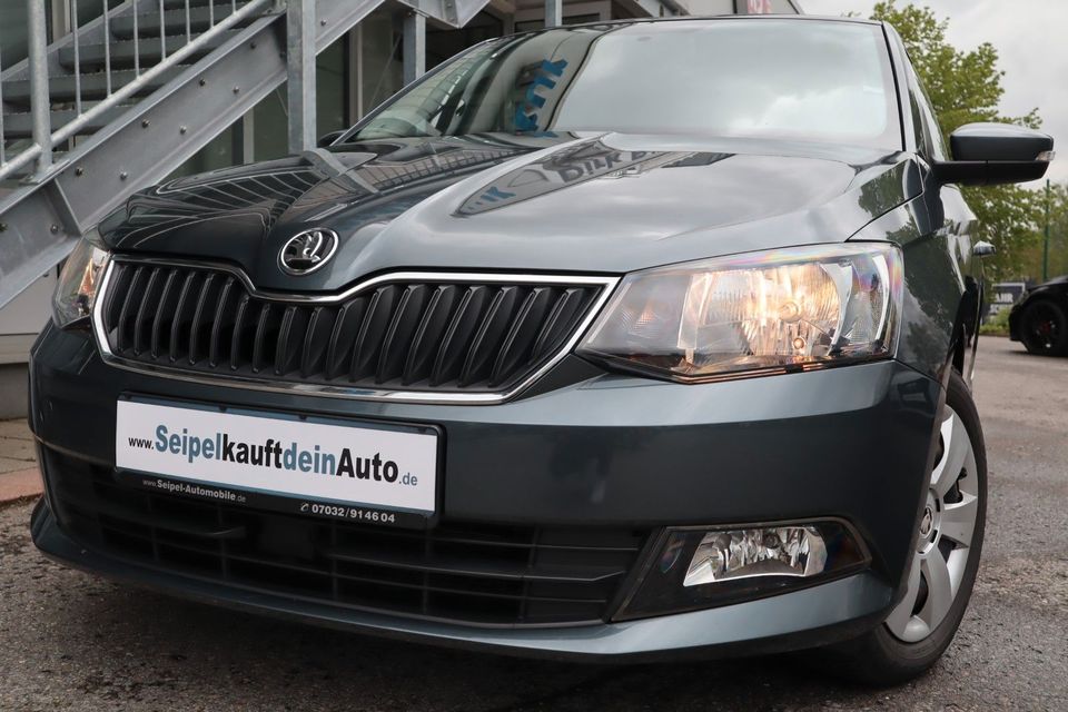 Skoda Fabia Ambition 1.2 TSI*Klima*Tempomat* in Herrenberg