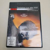 Tierbabies aus aller Welt,Special Edition, DVD Brandenburg - Herzberg/Elster Vorschau