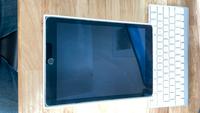 iPad Model A1673 128GB (teildefekt) Nordrhein-Westfalen - Recklinghausen Vorschau