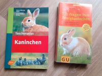 Kaninchen Zwergkaninchen Ratgeber GU Buch Sachsen - Reinsberg Vorschau