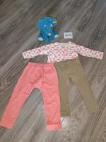 Lupilu Shirt Leggings Set Größe 86/92 Mädchen Dortmund - Hörde Vorschau