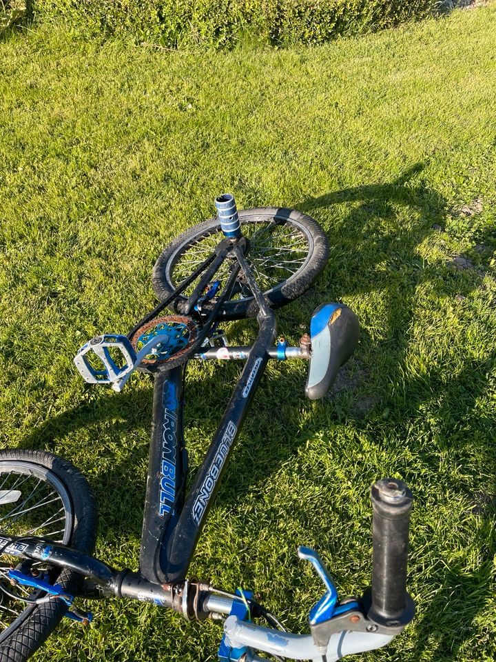 BMX Rad mit pegs fußrasten Fahrrad Blau schwarz 20 Zoll in Brake (Unterweser)