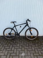 Bulls Mountainbike 26 Zoll Nordrhein-Westfalen - Datteln Vorschau