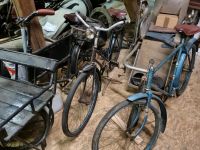 Suche Fahrrad Dromos, Norma, Zirrgiebel, Rot-Blau-Weis Goldfuchs Sachsen - Beucha Vorschau