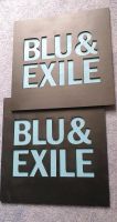 BLU & EXILE  2 Holz Label Schilder 33×33cm Brandenburg - Bad Freienwalde Vorschau