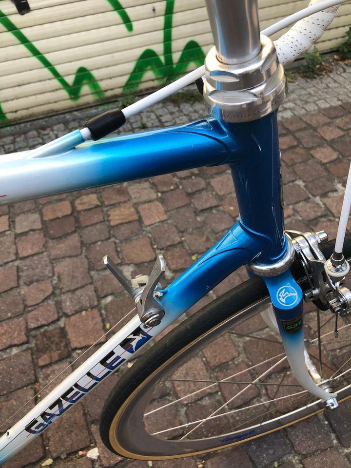 Gazelle Champion Mondial 531 Speed Stream Campagnolo Rennrad in Konstanz