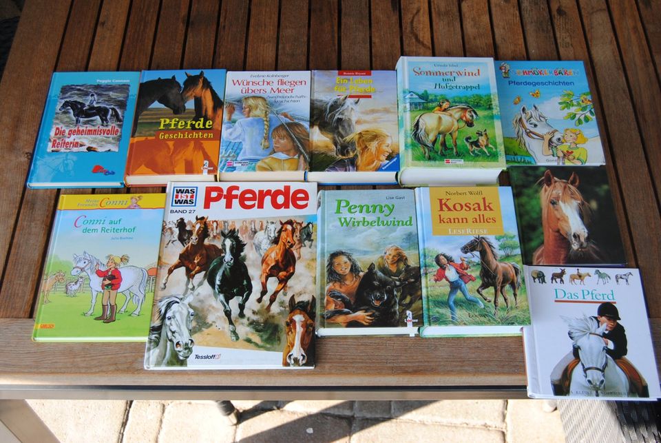 13xPony-Pferdebücher, Geschichten, Kinderbücher, Mädchenbücher in Paderborn