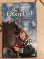 Mein Feuerpferd Brandenburg - Teupitz-Tornow Vorschau