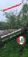 Baumfällung und Sturmschäden Schleswig-Holstein - Sommerland Vorschau