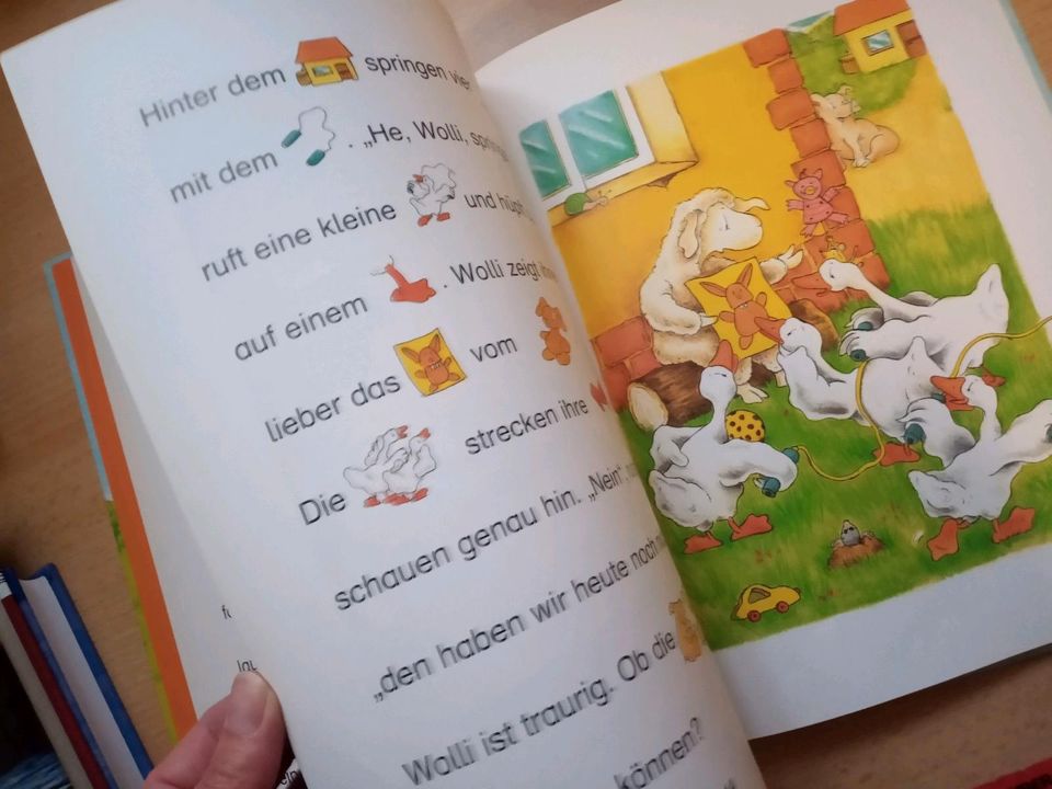 Die Freunde vom Bauernhof, Kinderbuch aus 2001 in Ellingen