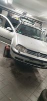 Schlachtfest Schlachte Zerlege VW Golf 1.6 SR AHK Duisburg - Walsum Vorschau