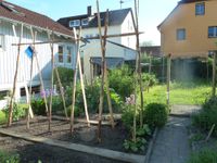 Bohnen-Tipi-Fichten-Stangen,Holz Rundholz(Fichte u.Lärche),Pfähle Baden-Württemberg - Wolpertswende Vorschau