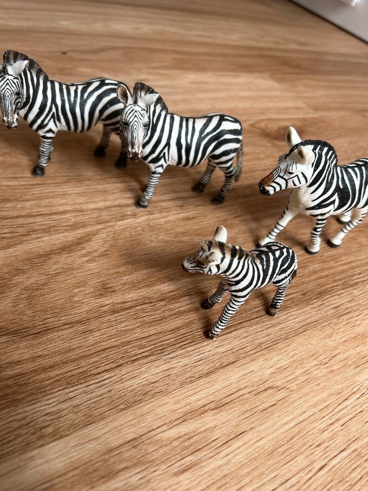 Schleich Zebra Familie 4 stück in Augsburg