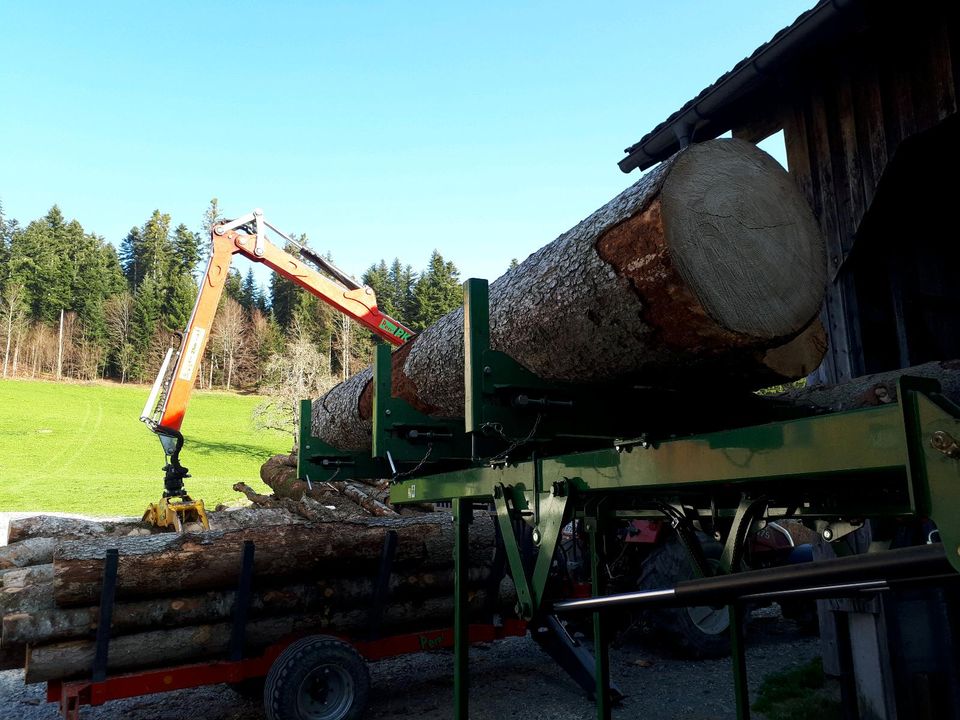 Sägespaltautomat Lohnspalten Fendt Posch Brennholz Forst in Stiefenhofen