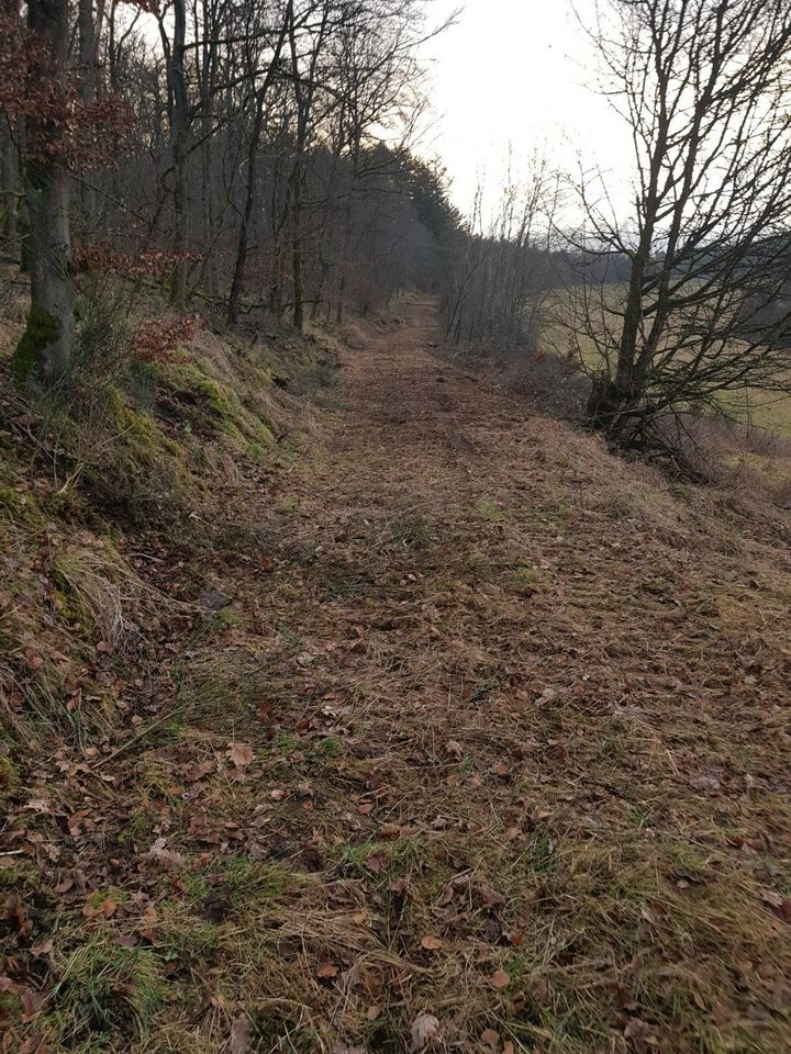 Baggerarbeiten, Landschaftspflege, Pflasterarbeiten usw. in Oberweiler-Tiefenbach