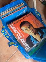 Diverse Schallplatten Vinyl LP und Singles Niedersachsen - Schneverdingen Vorschau