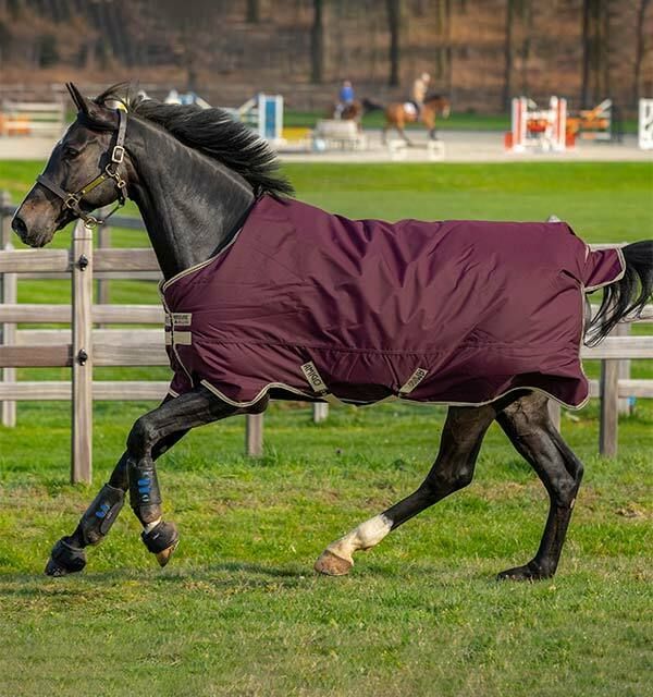 Regendecke Horseware Amigo Hero mit 0g, 50g, 200g robust in 115,125,130,140,145,155,160 Ripstop Material,winddicht,wasserdicht,atmungsaktiv verschiedene Farben Neuware günstig Top Qualität Pferdedecke in Kempen