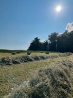 Heu, Hd-Ballen, Kleinballen, Quaderballen Baden-Württemberg - Empfingen Vorschau